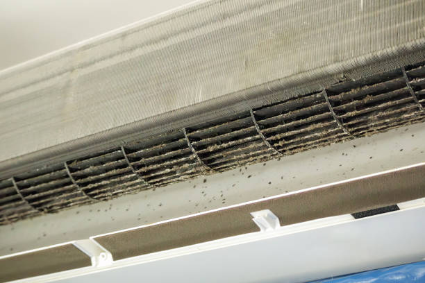 Best HVAC Air Duct Cleaning  in Attica, MI