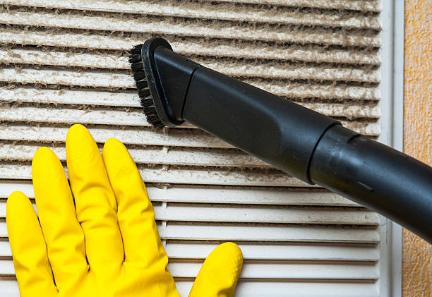 Best Local Air Duct Cleaning Services  in Attica, MI